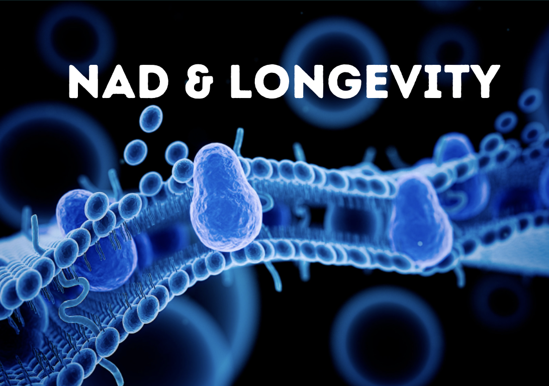 Understanding NAD and its Benefits as an Anti-Aging and Restorative Tool
